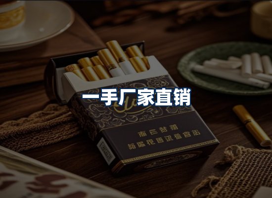 专业团队办公环境